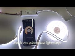 穂軸の滑走路端燈